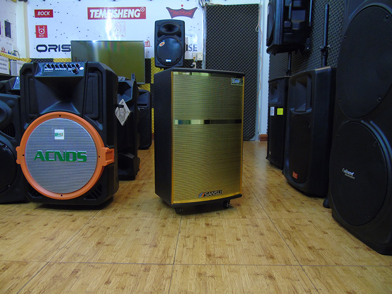 Loa kéo di động Sansui SG2-12