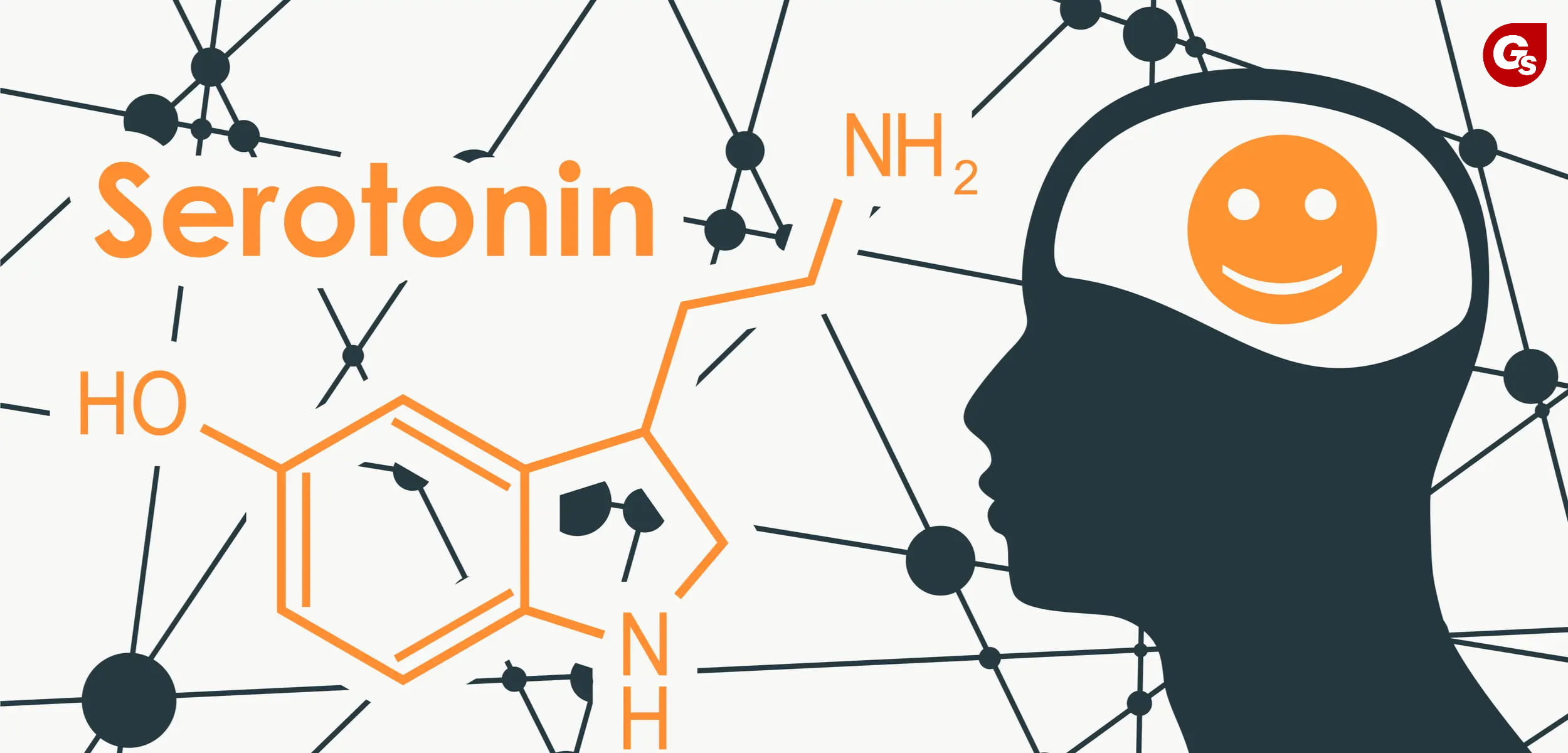 5-htp-la-gi-gymstore-4