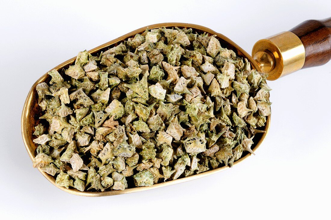 bai-thuoc-voi-bach-tat-le-gymstore