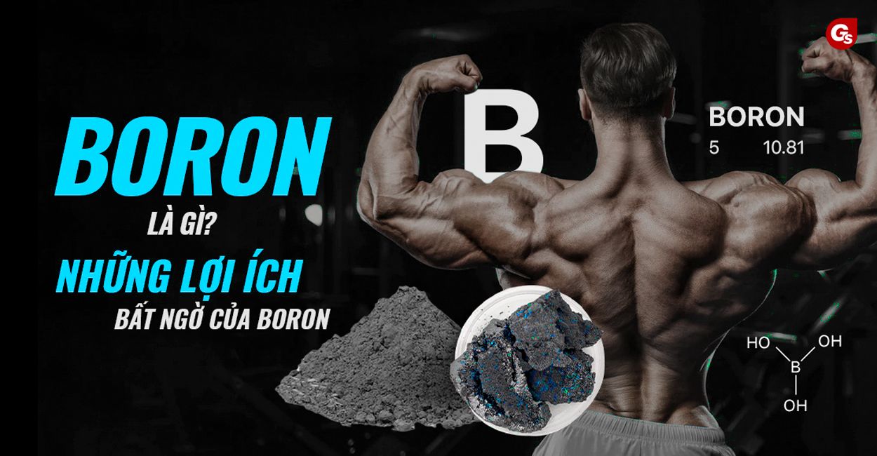 boron-la-gi-gymstore-0
