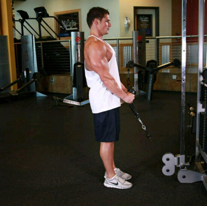 Bài tập số 4: Cable Hammer Curls – Đứng kéo cáp