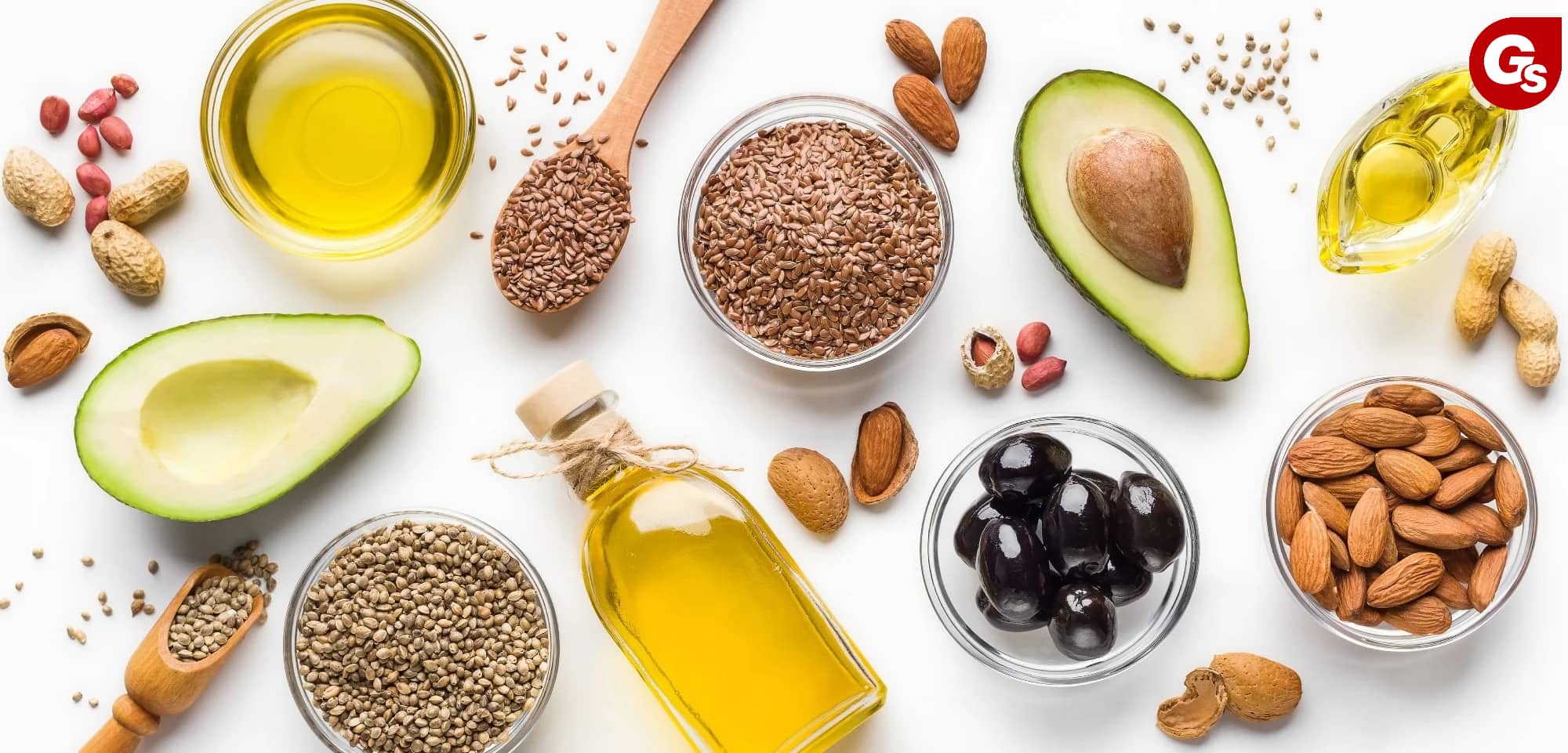 chat-beo-la-gi-gymstore-5