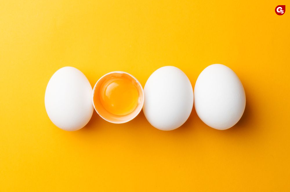 chat-beo-tot-va-chat-beo-xau-gymstore-4