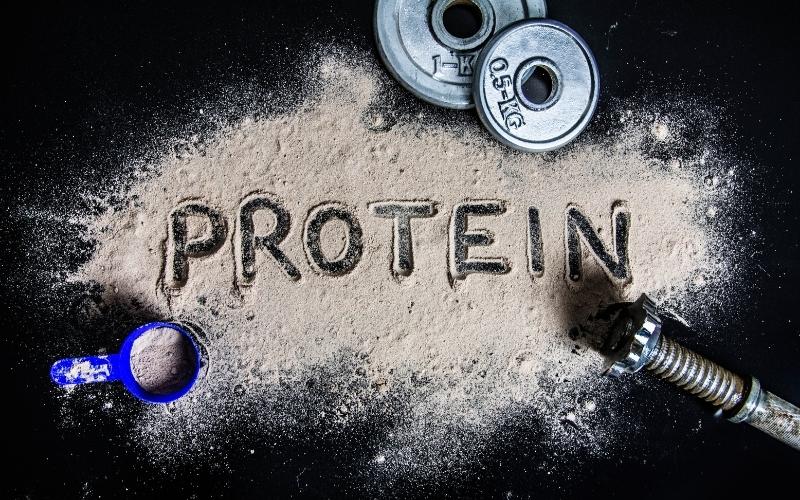 Protein quan trọng cho quá trình xây dựng cơ bắp