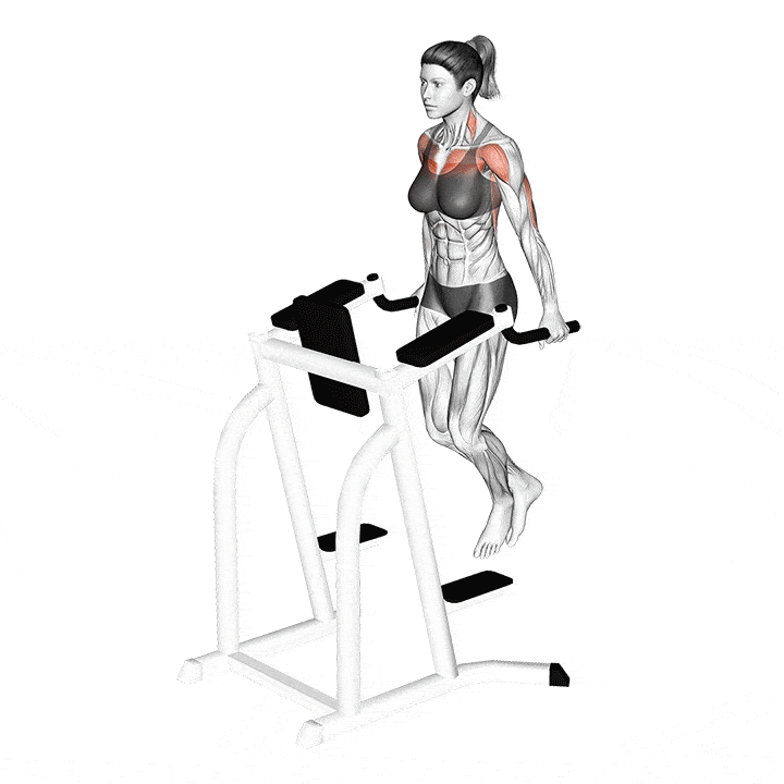 chest-dips-la-gi