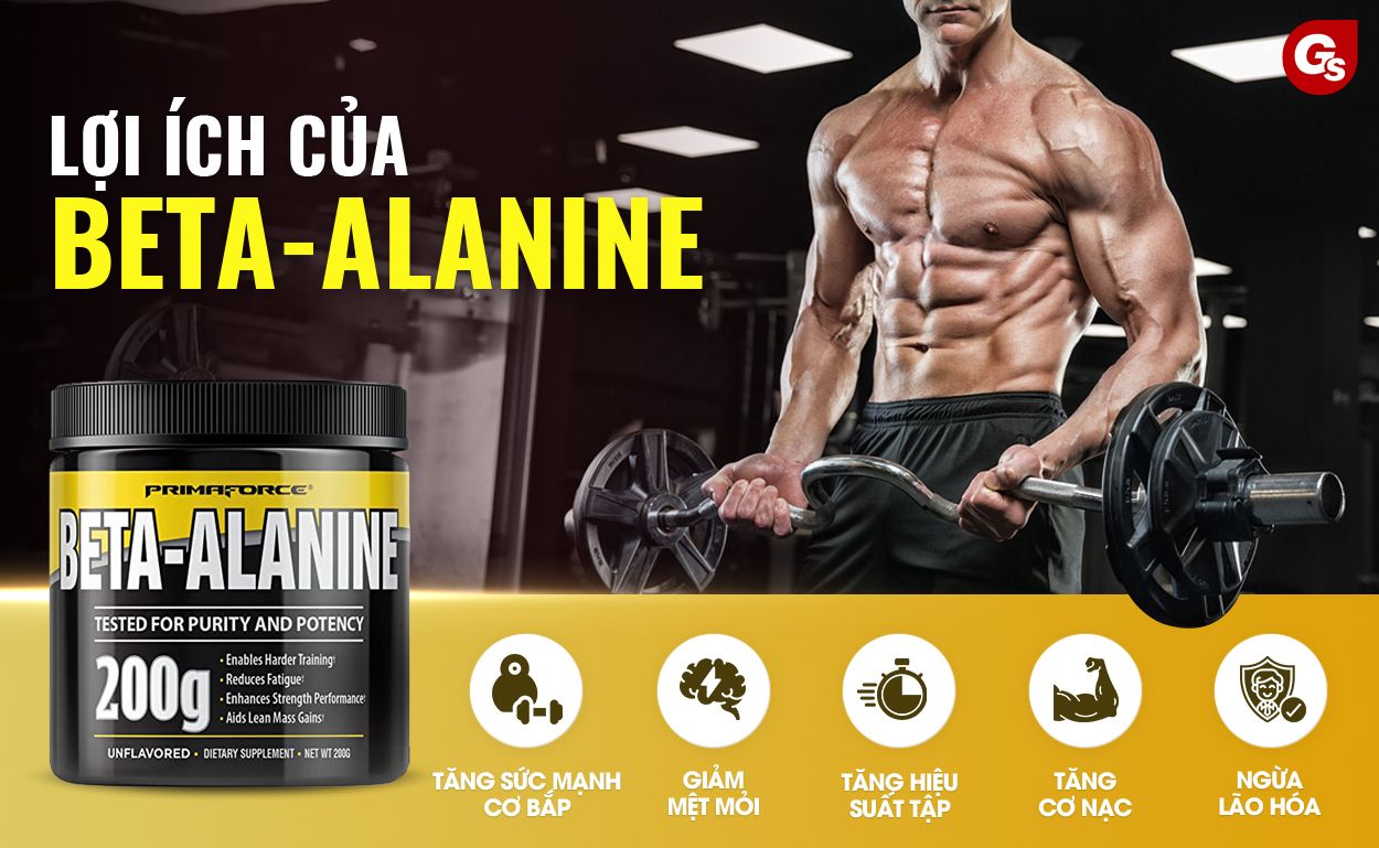 cong-dung-cua-primaforce-beta-alanine-gymstore