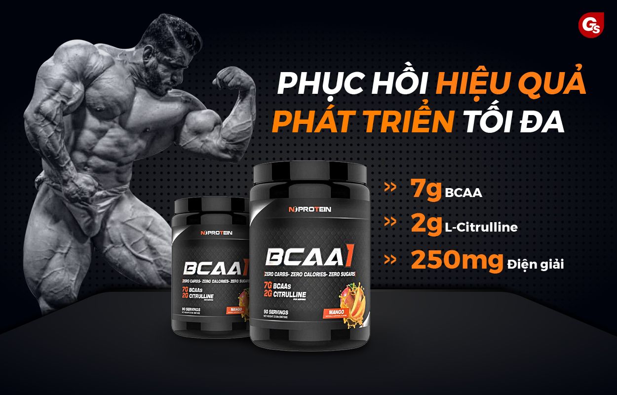 z-nutrition-bcaa-phuc-hoi-co-bap-gymstore