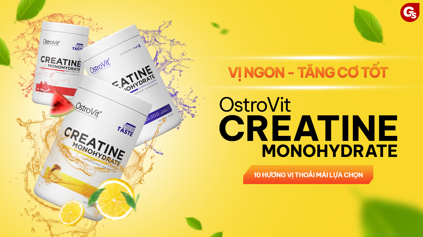 ostrovit-creatine-monohydrate-500g-gymstore