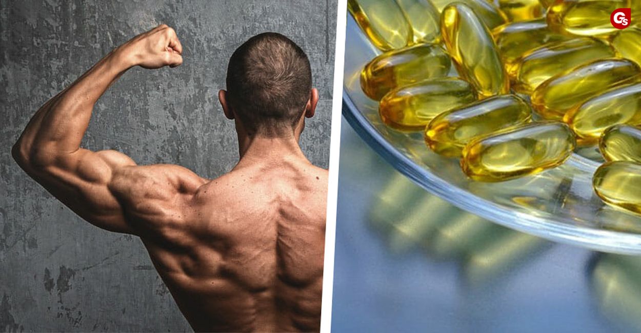 dau-ca-the-hinh-gymstore-1