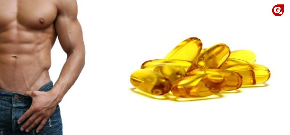 dau-ca-the-hinh-gymstore-2