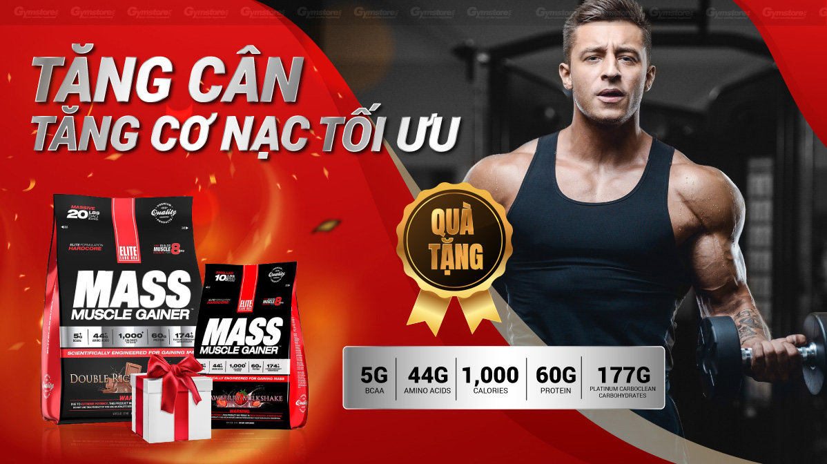 Elite-labs-mass-muscle-gainer-sua-tang-can-chat-luong-cao-gymstore