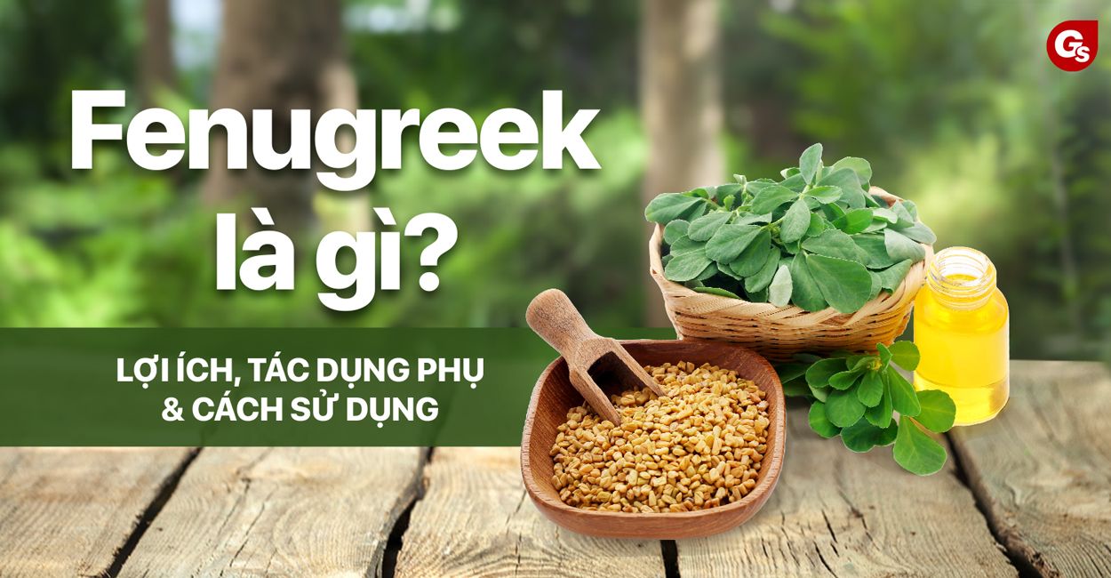 fenugreek-la-gi-gymstore