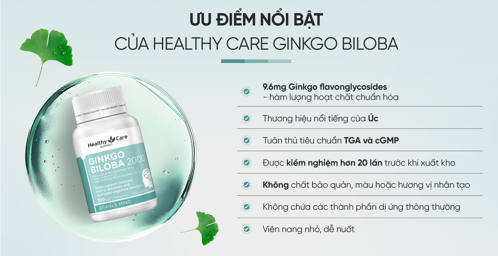 Healthy Care Ginkgo Biloba 2000 Lợi Ích