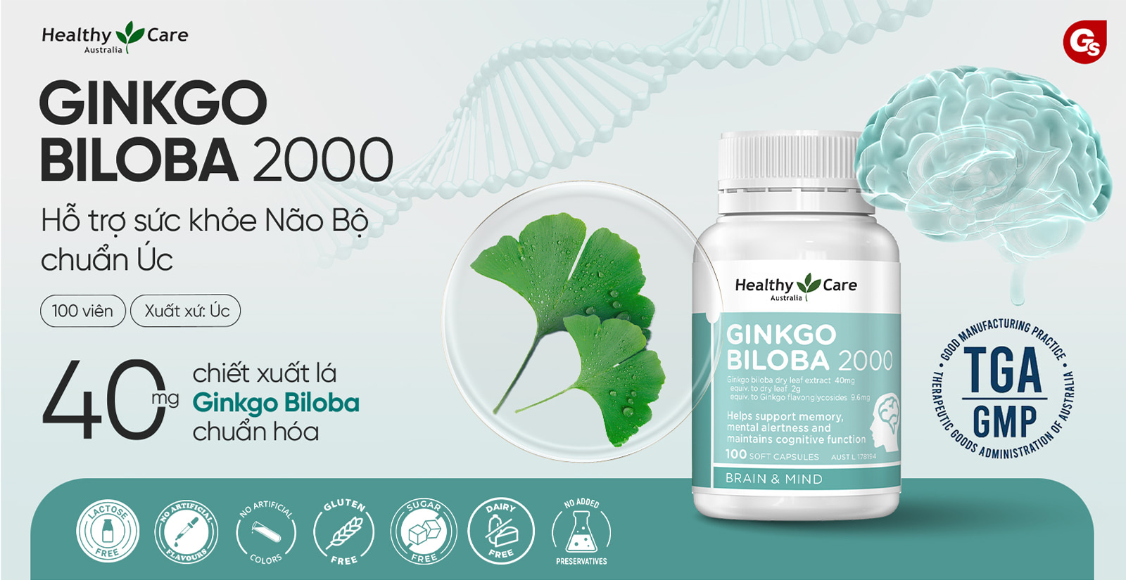 Healthy Care Ginkgo Biloba 2000