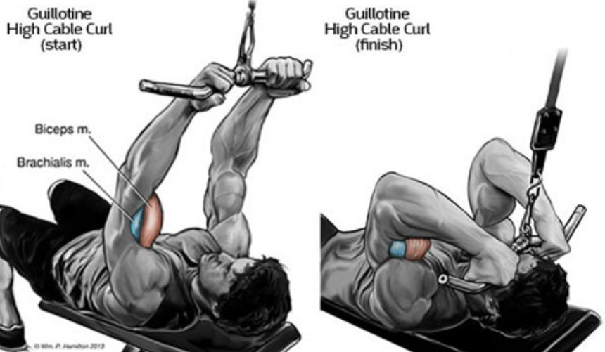 Bài tập số 10: High Cable Curls – Nằm kéo cáp cao