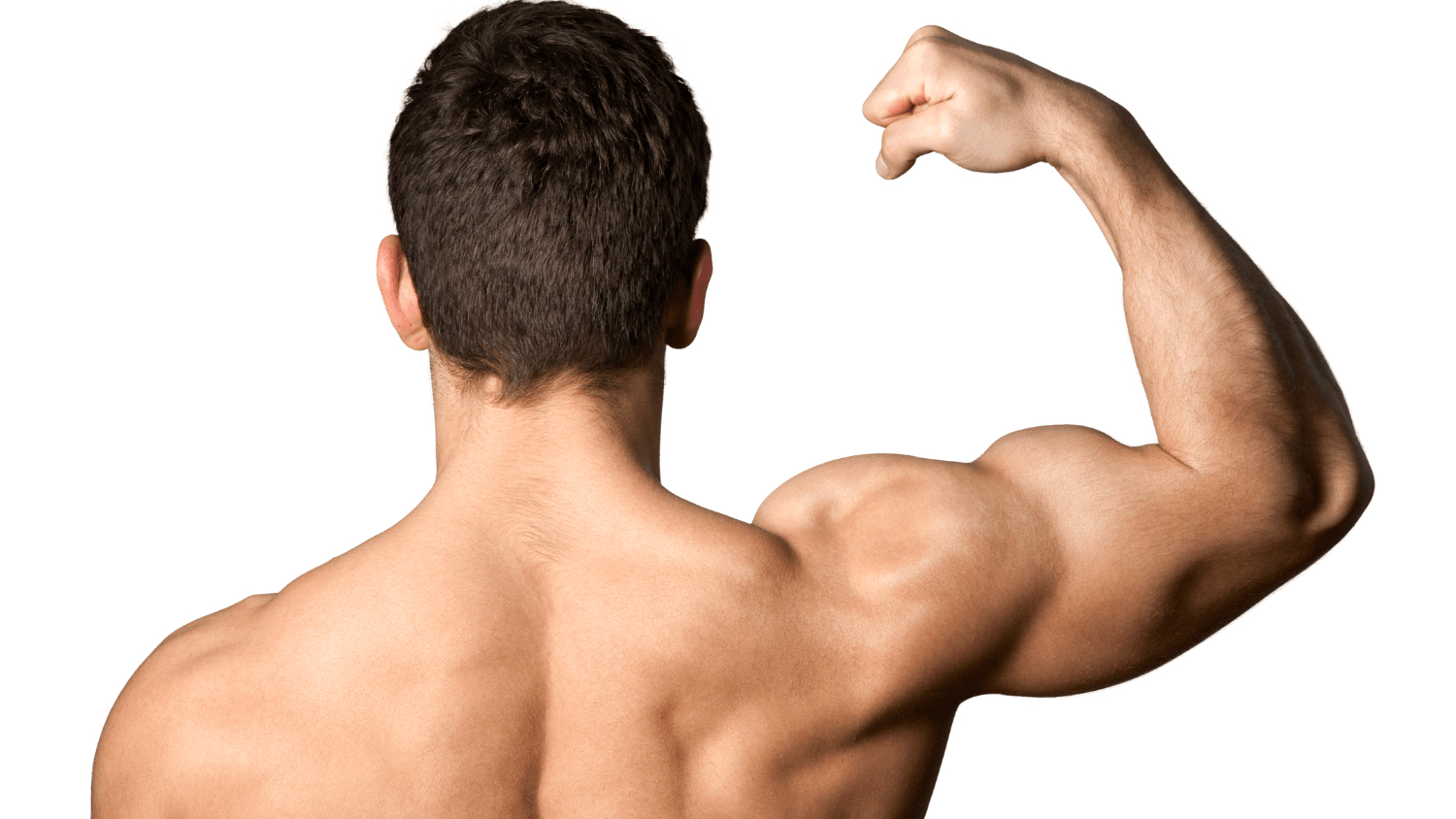 hmb-giup-co-bap-phat-trien-gymstore