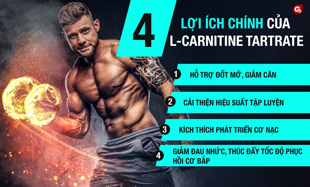 L-carnitine-tartrate-co-tac-dung-gi-gymstore