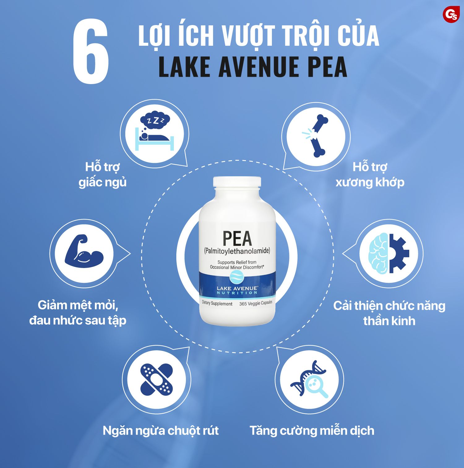 lake-avenue-pea-with-pqq-bo-xuong-khop-gymstore-2