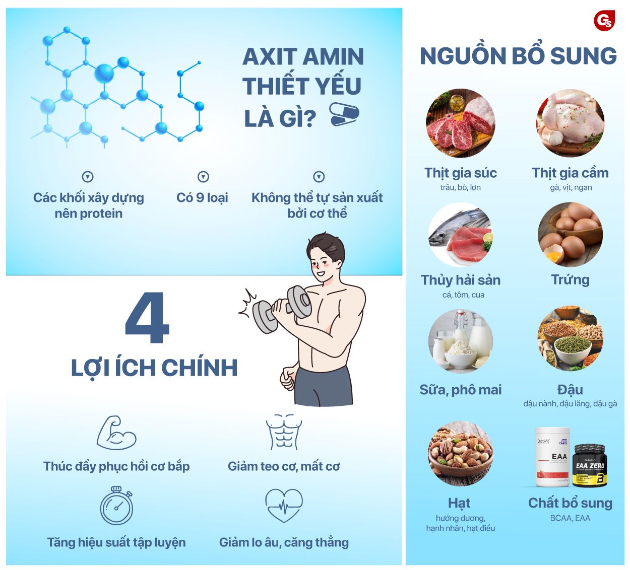 loi-ich-cua-axit-amin-thiet-yeu-gymstore