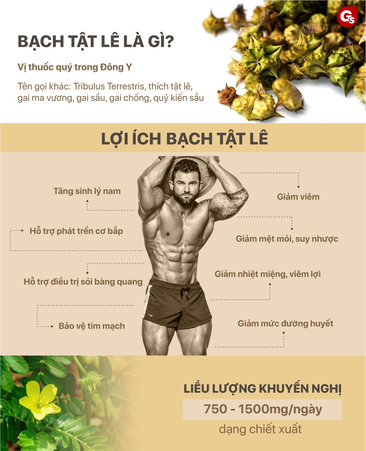 loi-ich-cua-bach-tat-le-gymstore