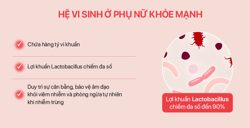 Hệ Vi Sinh Ở Phụ Nữ Khỏe Mạnh