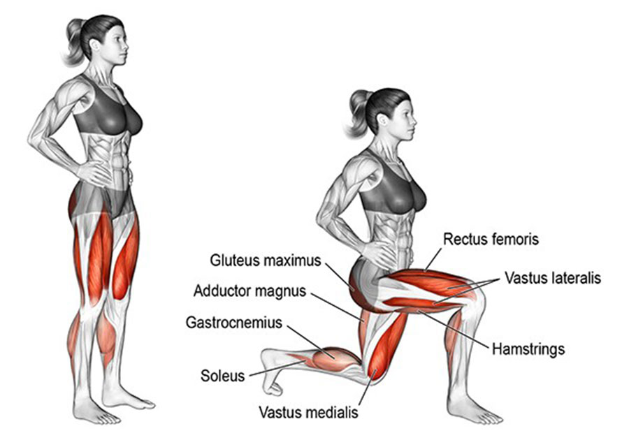 Bài tập Lunge