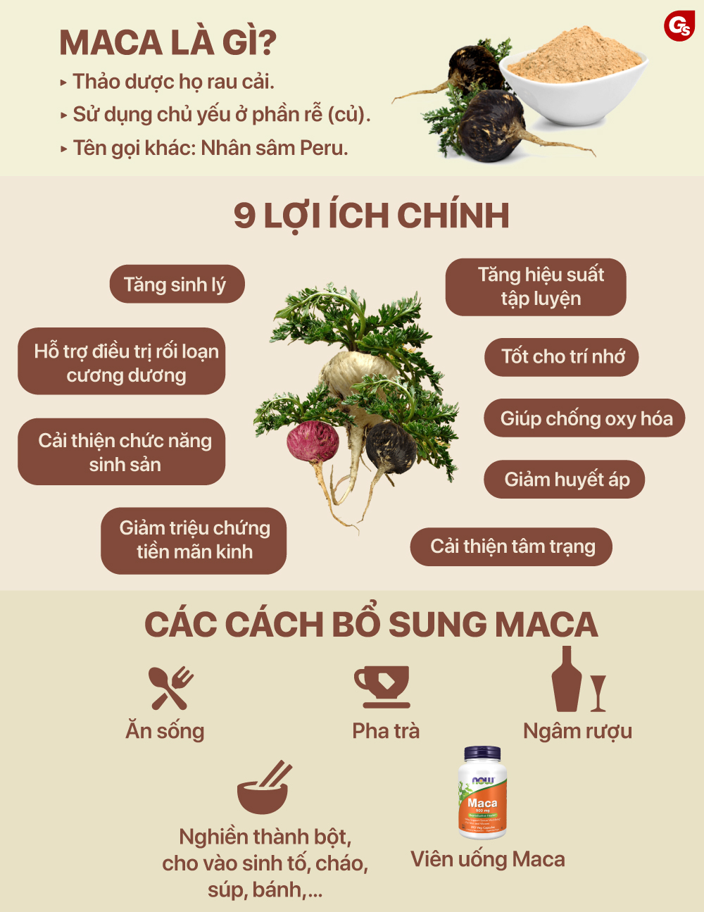 maca-co-tac-dung-gi