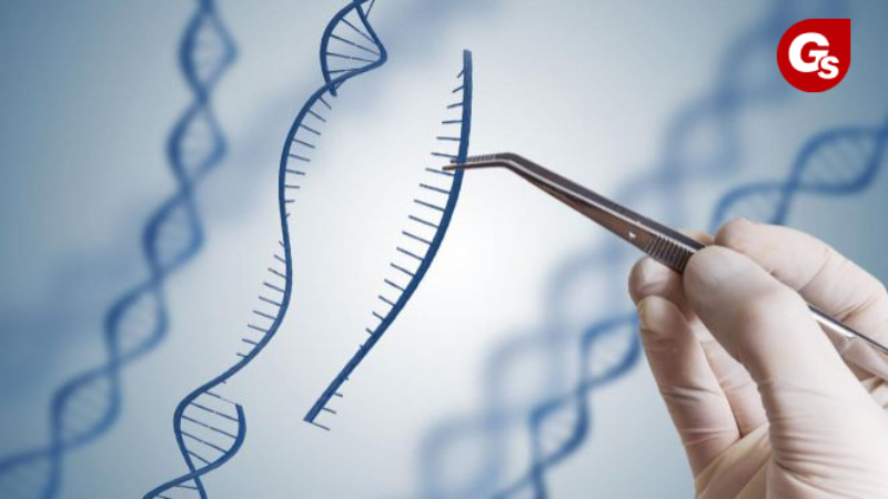 methionine-co-tac-dung-gi