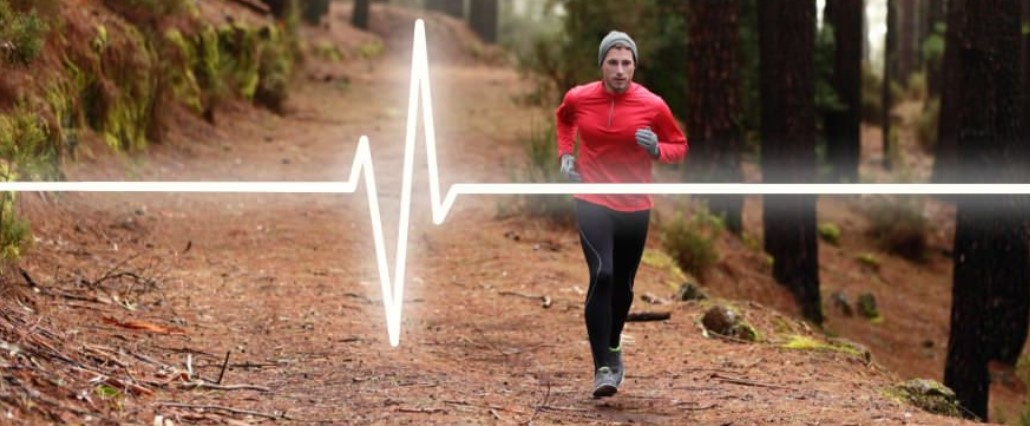 nhip-tim-khi-chay-bo-1