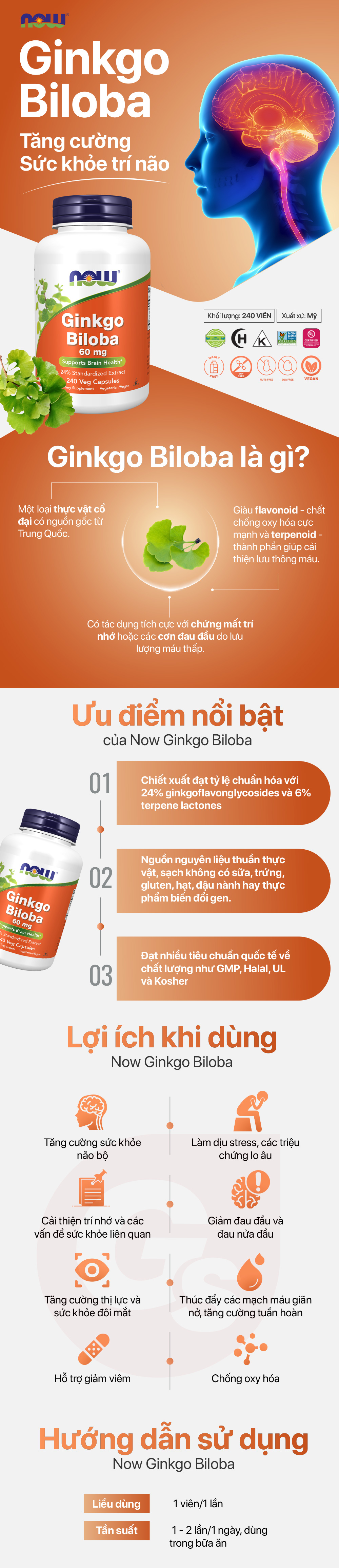 now-ginkgo-biloba