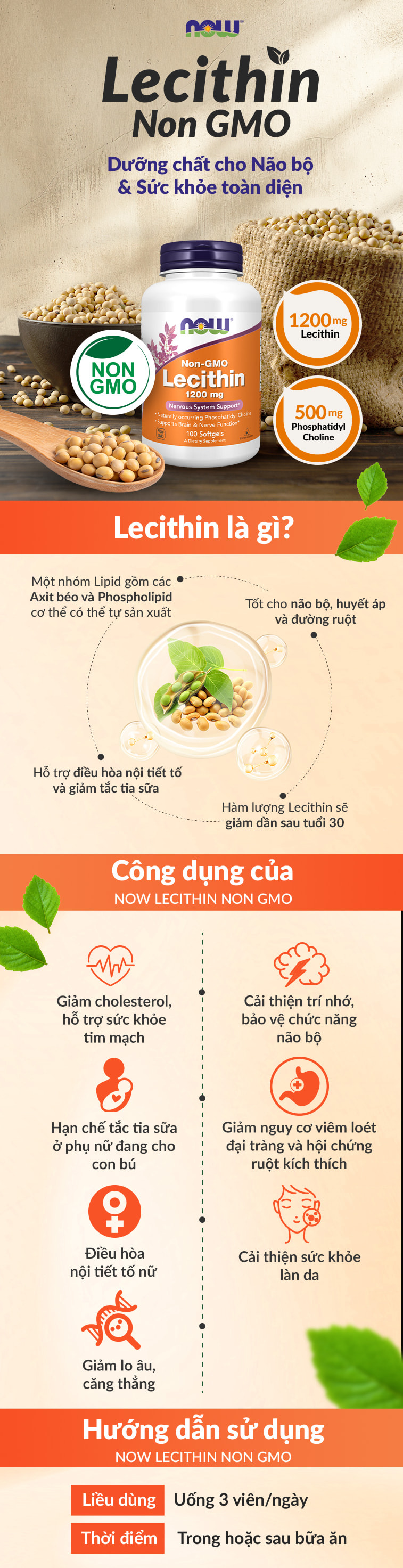 now-lecithin-gymstore