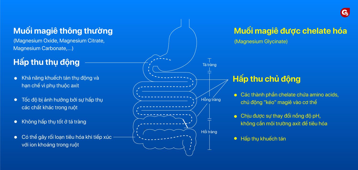 now-magnesium-glycinate-vien-uong-bo-sung-magie-gymstore-4