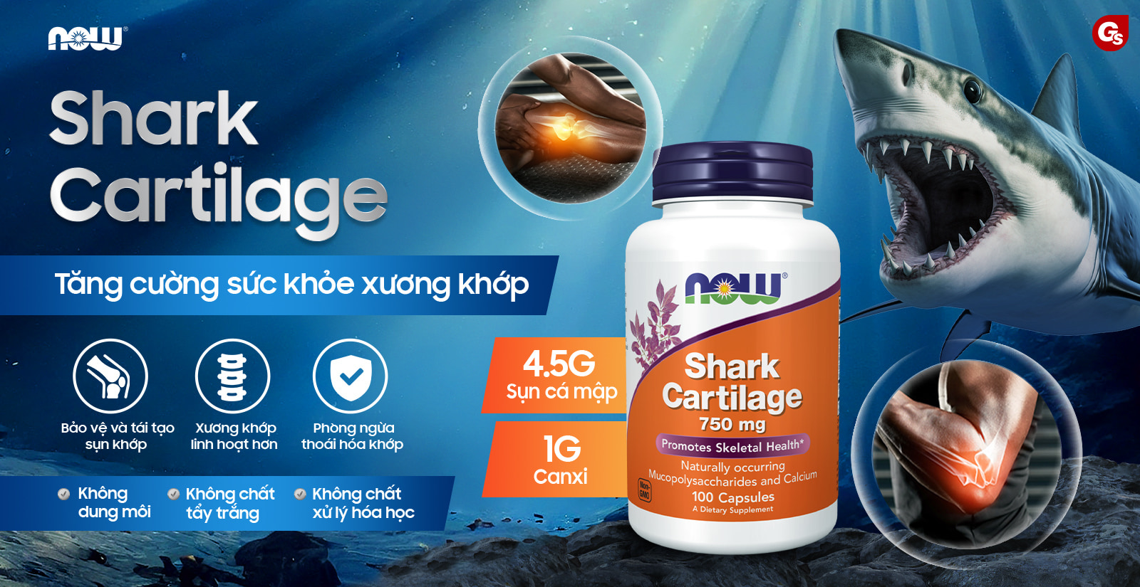 now-shark-cartilage-gymstore