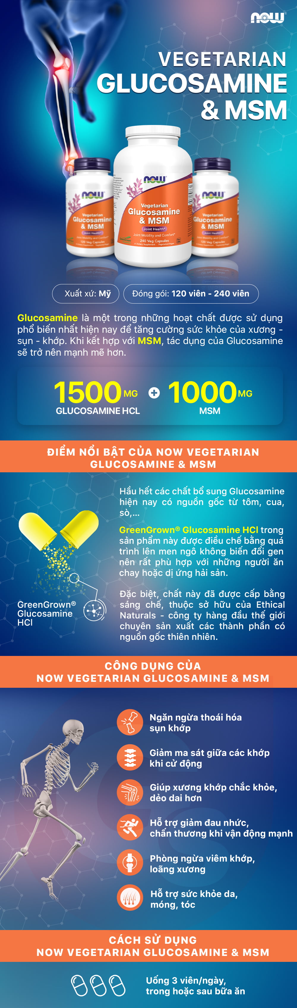 now-vegetarian-glucosamine-msm