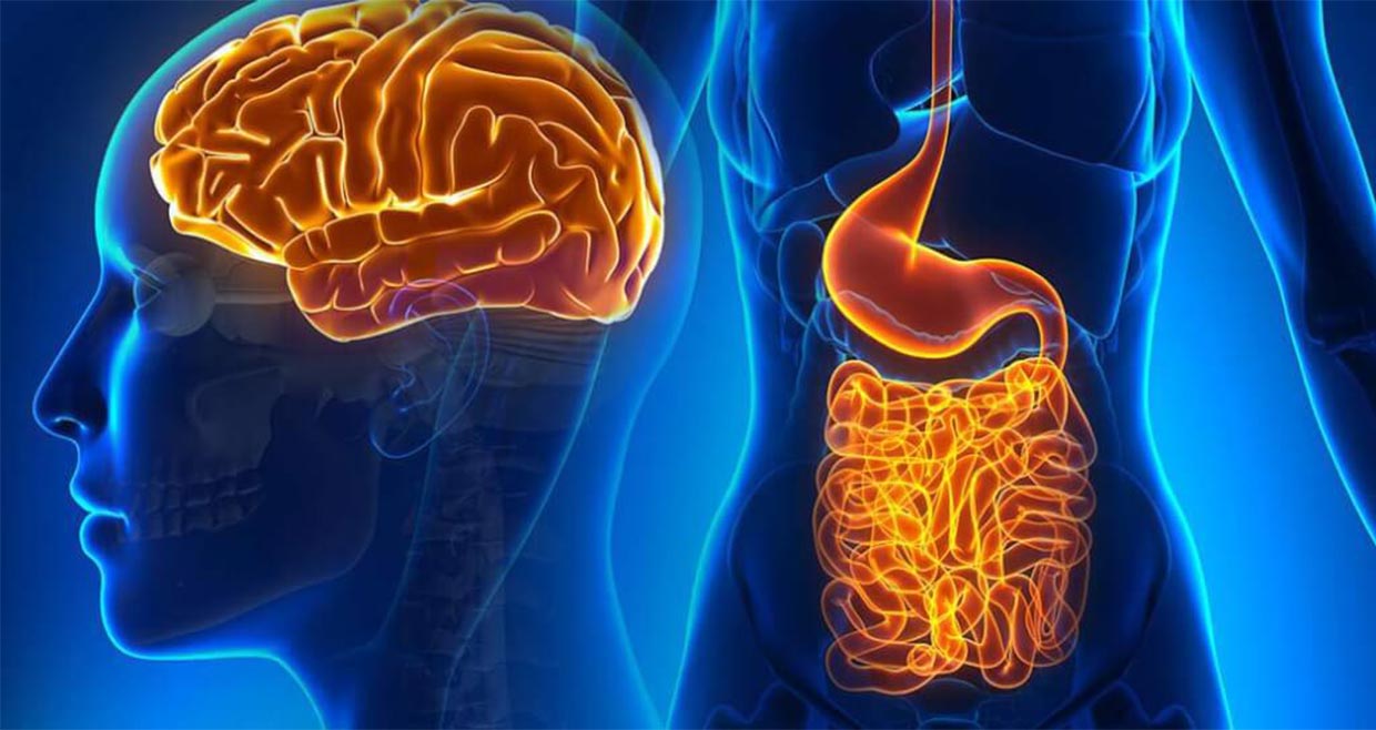 probiotic-giam-tram-cam