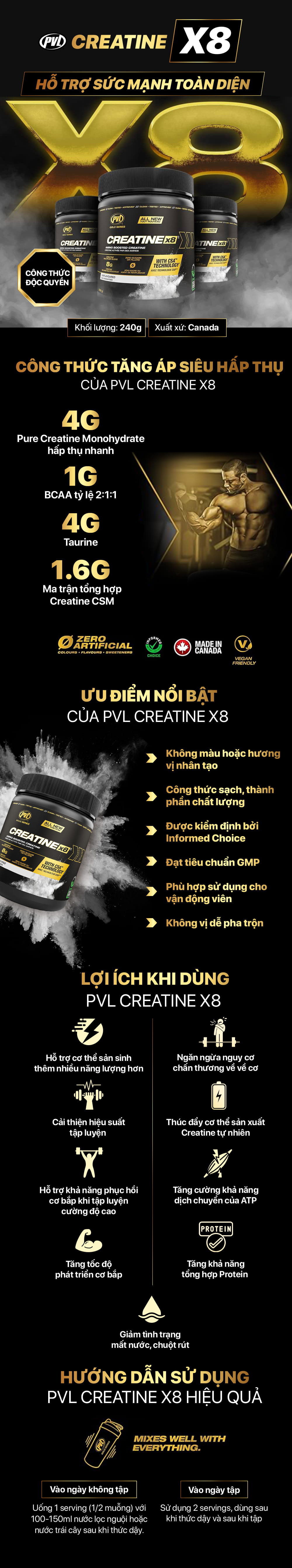 pvl-creatine-x8-gymstore