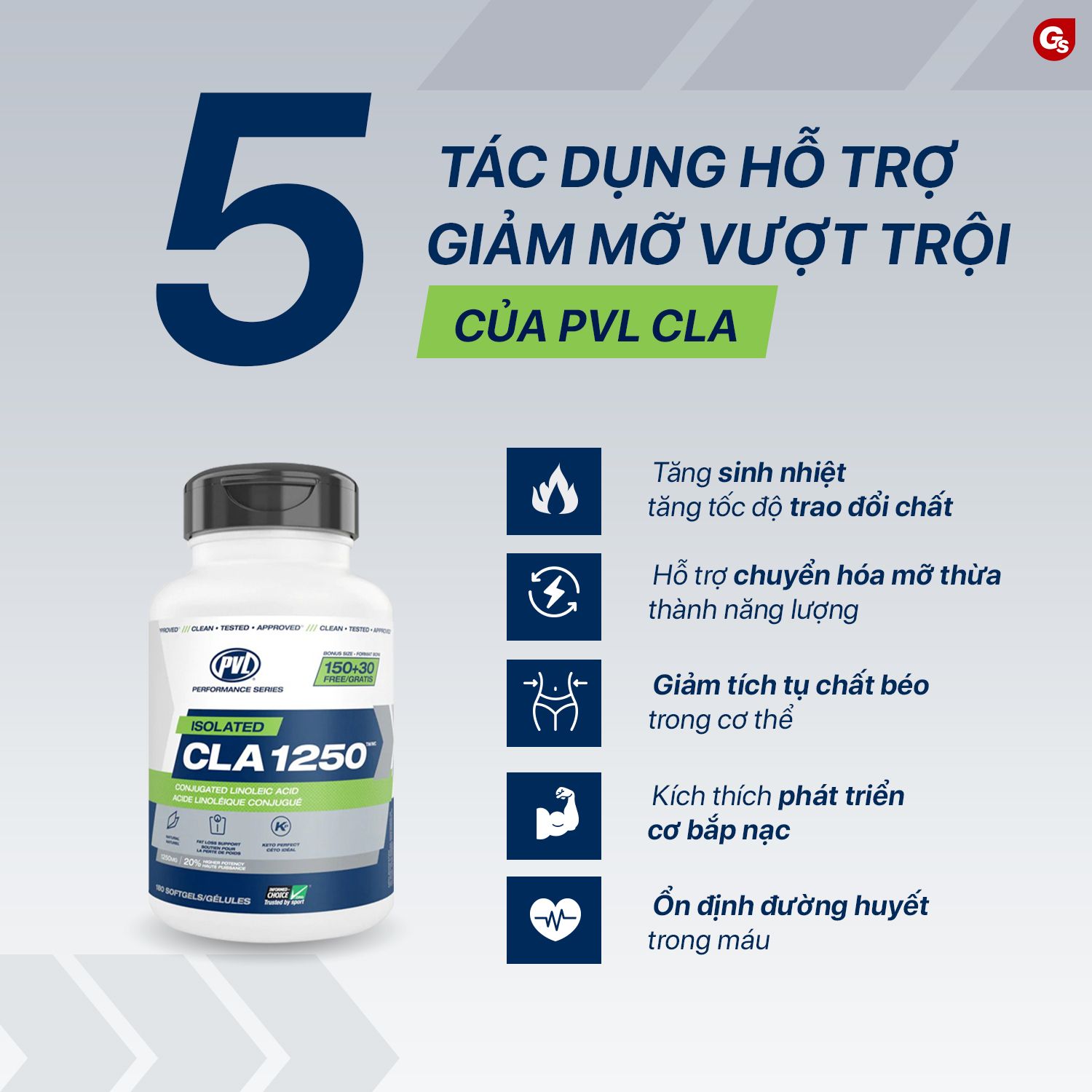 pvl-isolated-cla-1250mg-ho-tro-giam-mo-fat-loss-gymstore-2