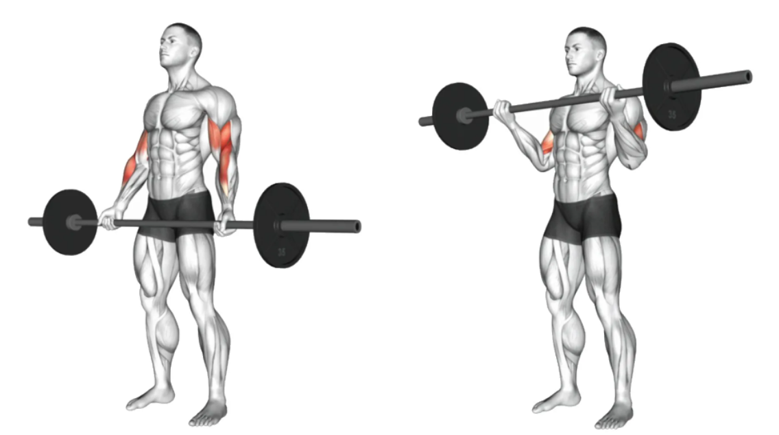 Bài tập số 9: Suspended Curl – Treo thân cuốn tay