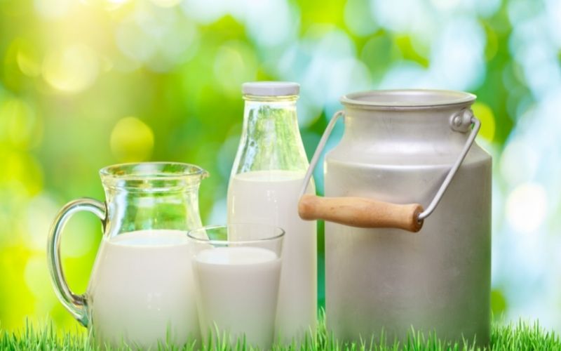 Uống nhiều sữa tươi sẽ có ảnh hưởng gì?