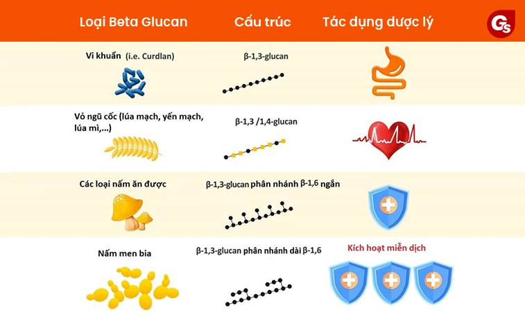 tac-dung-cua-beta-glucan-voi-suc-khoe-toan-dien