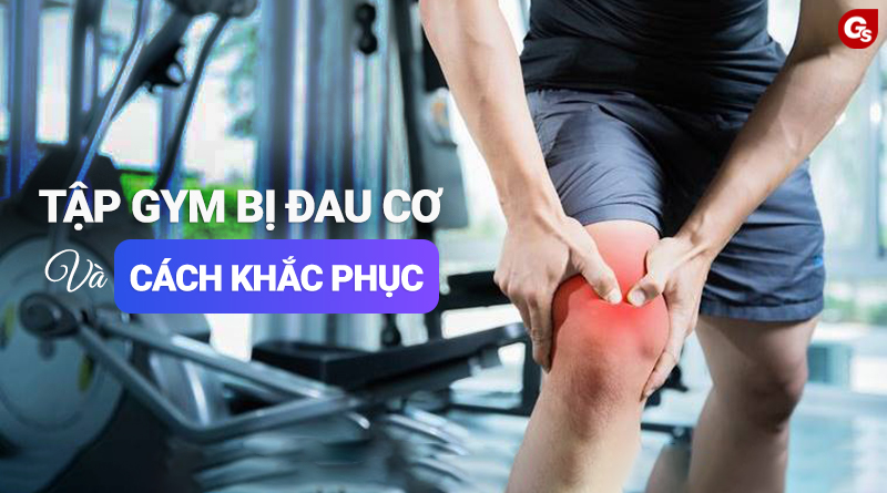 Tập gym bị đau cơ khắc phục như thế nào