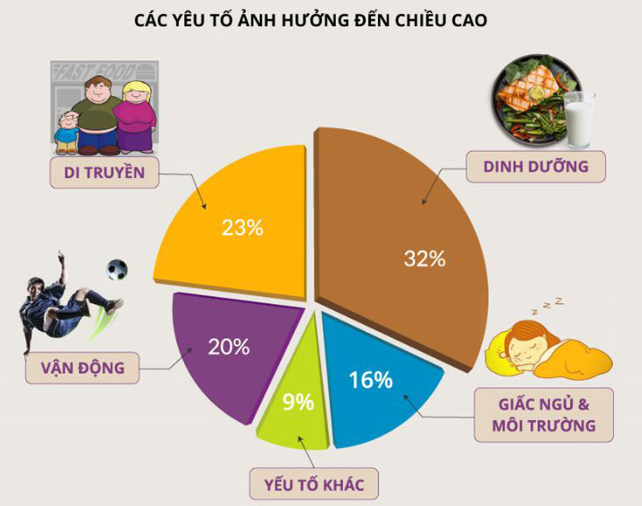 Các yếu tố ảnh hưởng đến tăng trưởng chiều cao