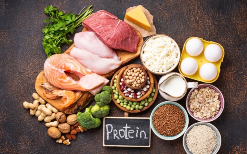 Các loại protein tốt nhất cho eat clean là các protein chất lượng cao