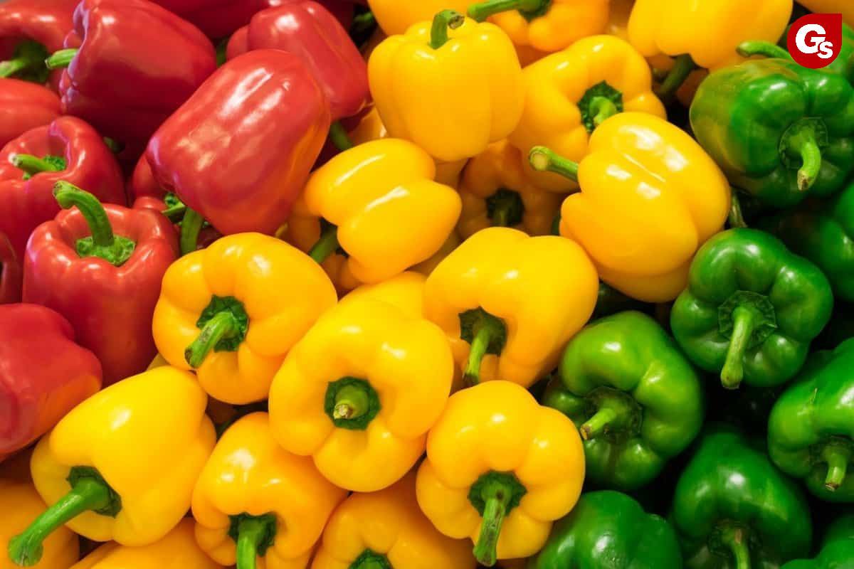 thuc-pham-giau-vitamin-a-gymstore-3