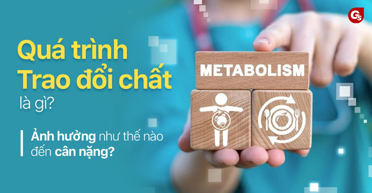 trao-doi-chat-la-gi-gymstore
