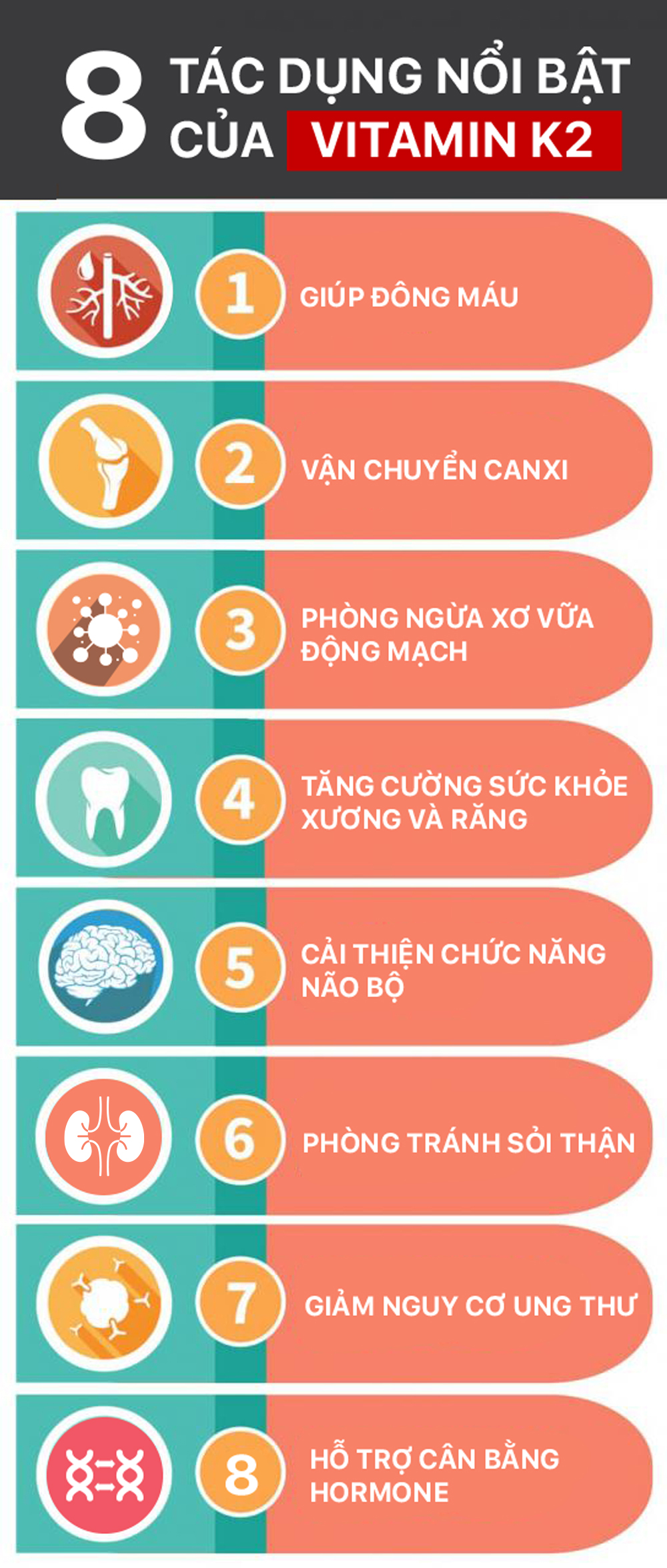 vitamin-k2-co-tac-dung-gi