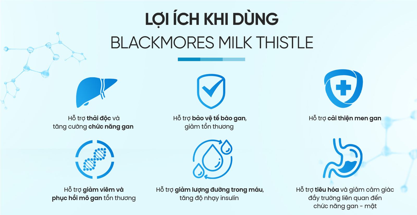 Blackmores Milk Thistle Lợi Ích