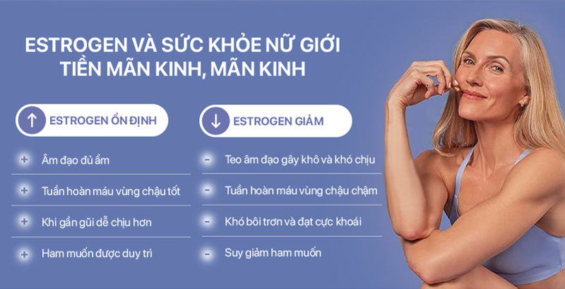 Estrogen và Sức Khỏe Phụ Nữ Tiền Mãn Kinh, Mãn Kinh