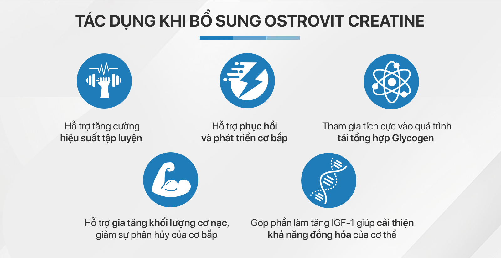 Ostrovit Creatine 300g Tác Dụng