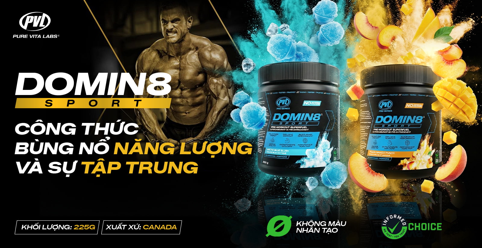 PVL Domin 8 Sport Nổi Bật